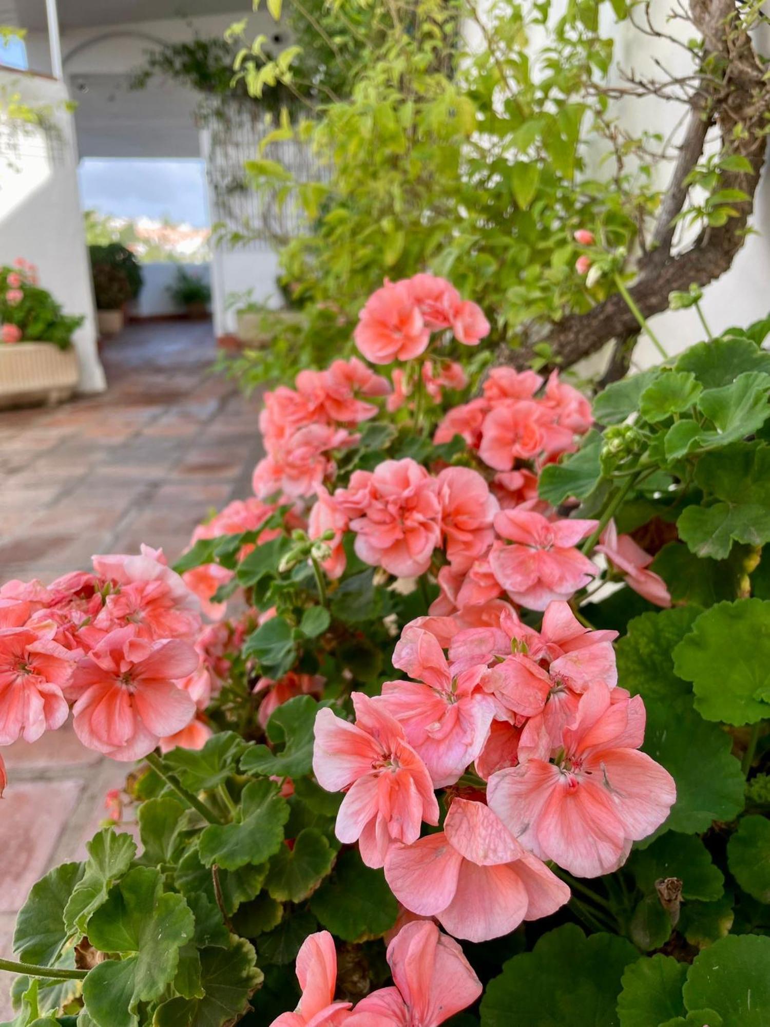 Sun Castle Daire Fuengirola Dış mekan fotoğraf