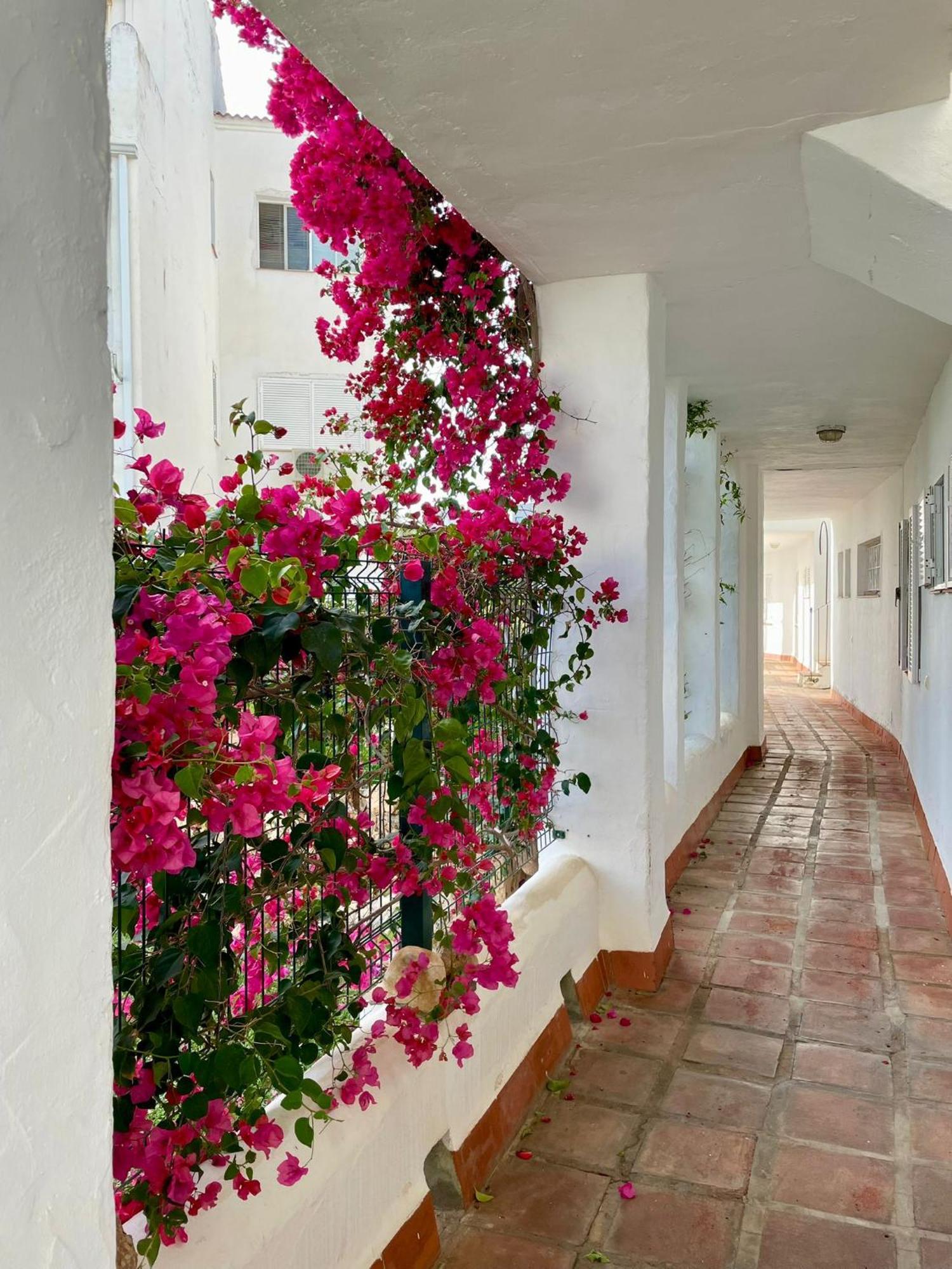 Sun Castle Daire Fuengirola Dış mekan fotoğraf