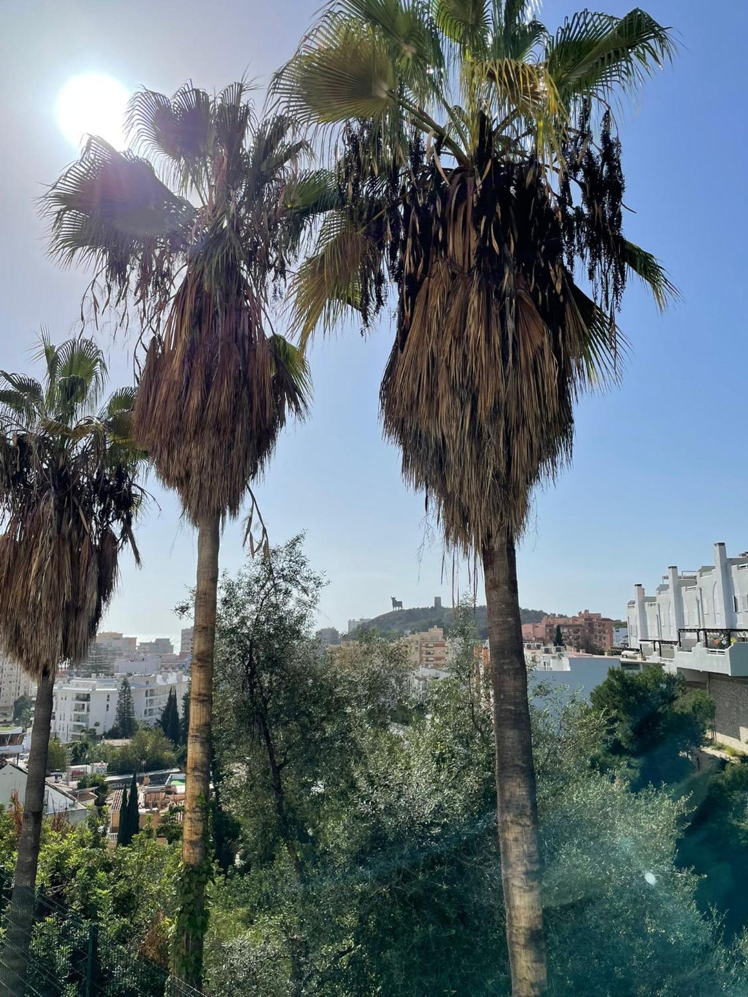 Sun Castle Daire Fuengirola Dış mekan fotoğraf