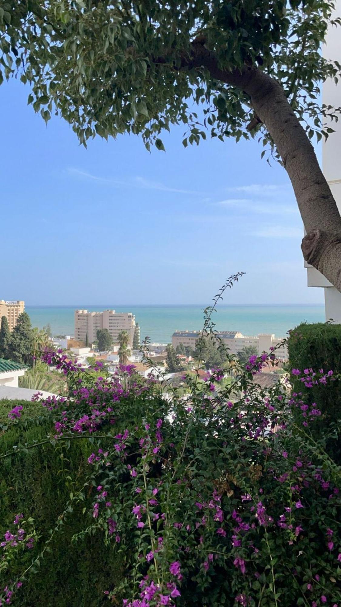 Sun Castle Daire Fuengirola Dış mekan fotoğraf