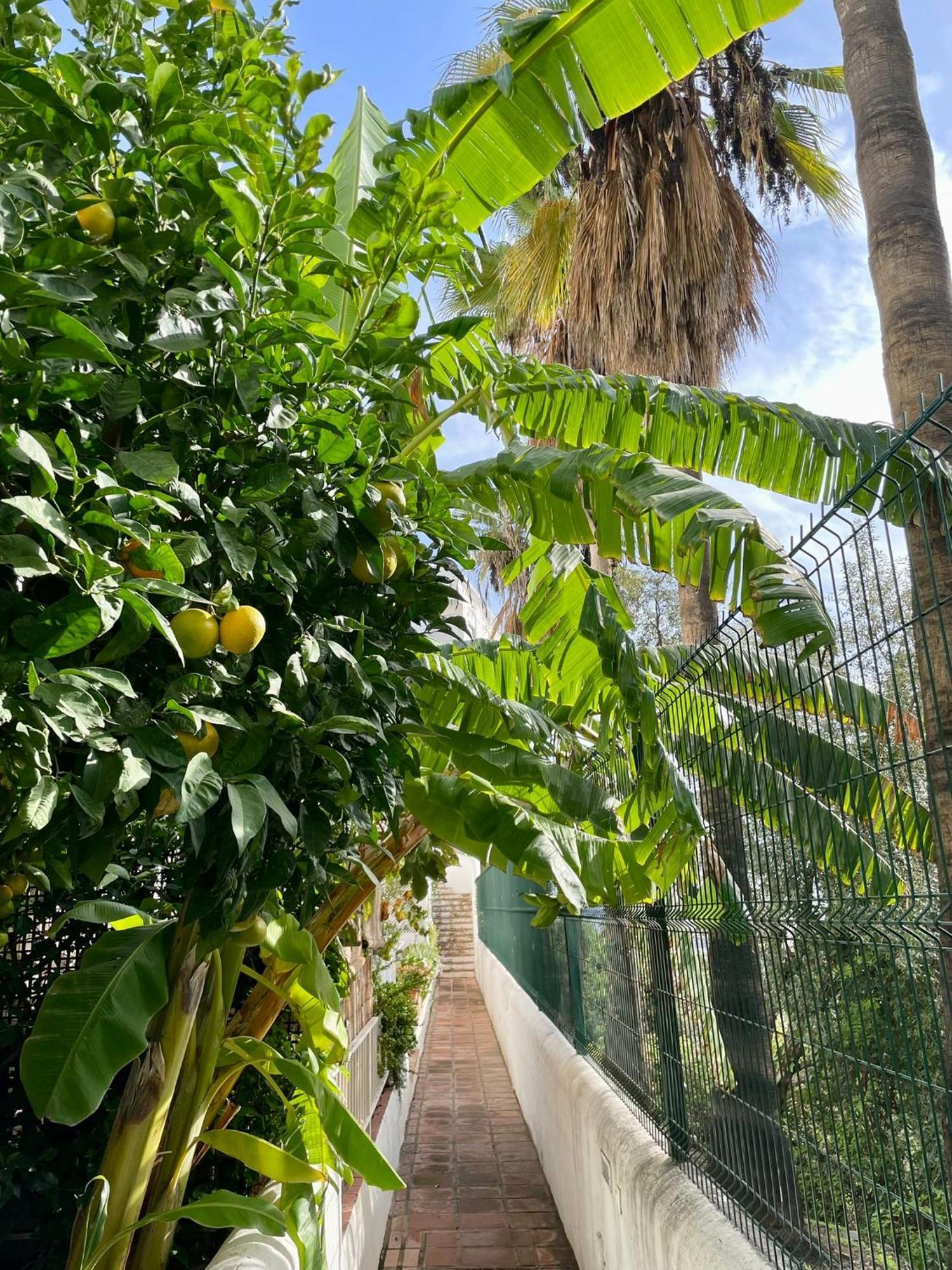 Sun Castle Daire Fuengirola Dış mekan fotoğraf