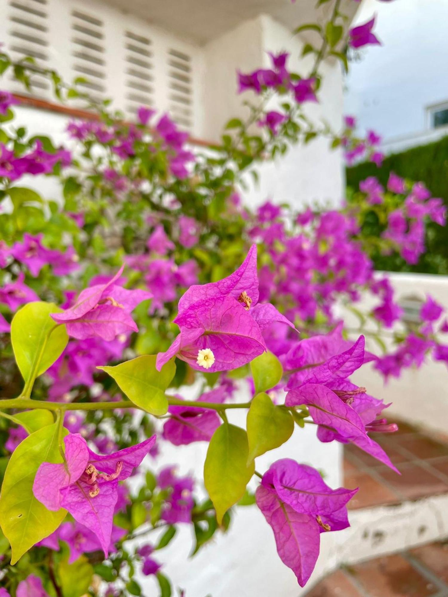 Sun Castle Daire Fuengirola Dış mekan fotoğraf