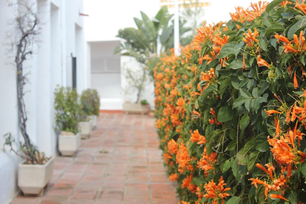 Sun Castle Daire Fuengirola Dış mekan fotoğraf