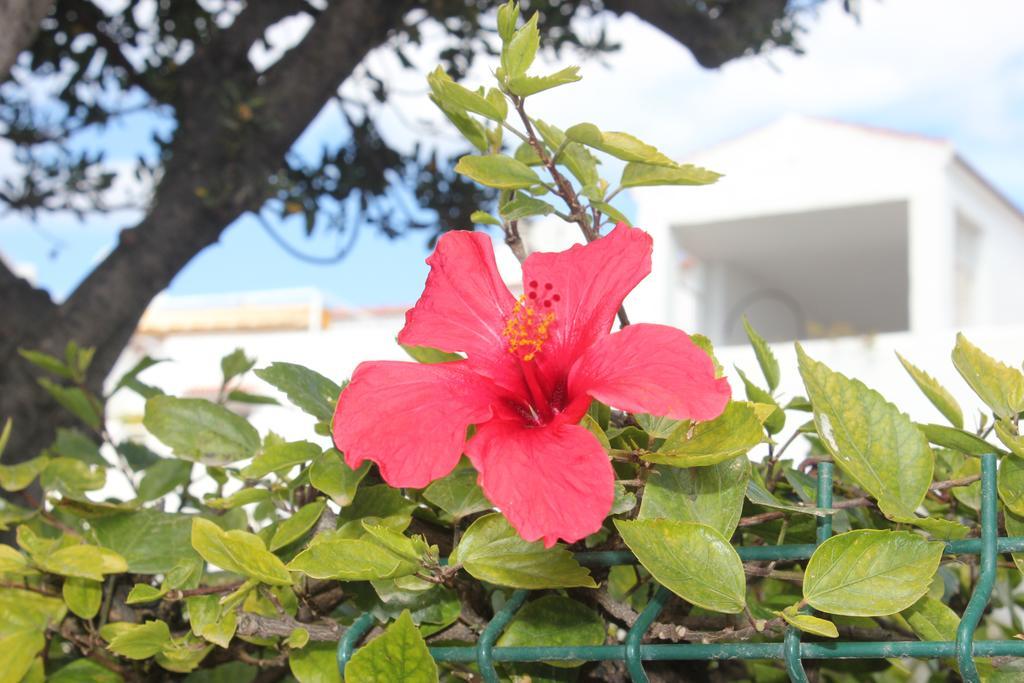 Sun Castle Daire Fuengirola Dış mekan fotoğraf